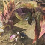 【モンハンワイルズ】タマミツネチャレンジクエストでSランクを取る為の戦術など【モンスターハンターWILDS】